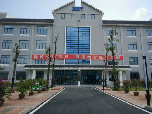 园林工程技术的核心要点与现代应用